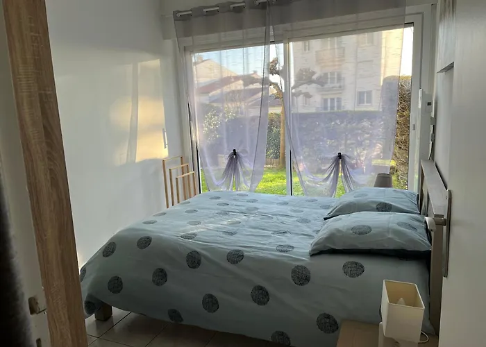 Plein Centre رويا