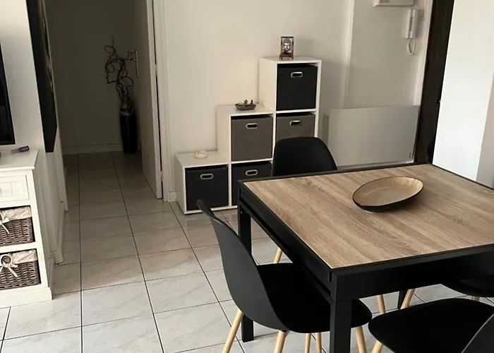 Plein Centre Apartment *